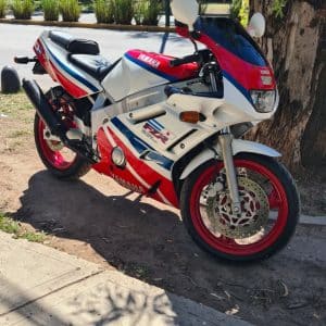 YAMAHA GENESIS FZR 600