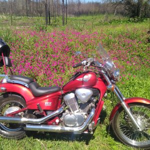 HONDA SHADOW 600 VLX